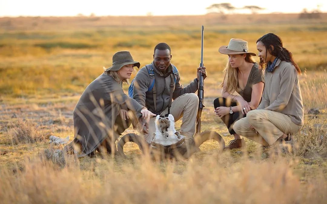 Driver-guide and guests at a picnic lunch laid out beside a safari vehicle