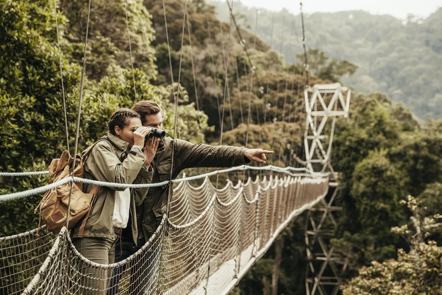 Canopy walkway suspended above the Nyungwe rainforest