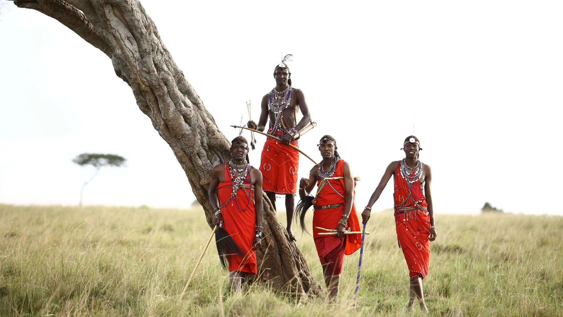 Maasai men standing beside an acacia tree