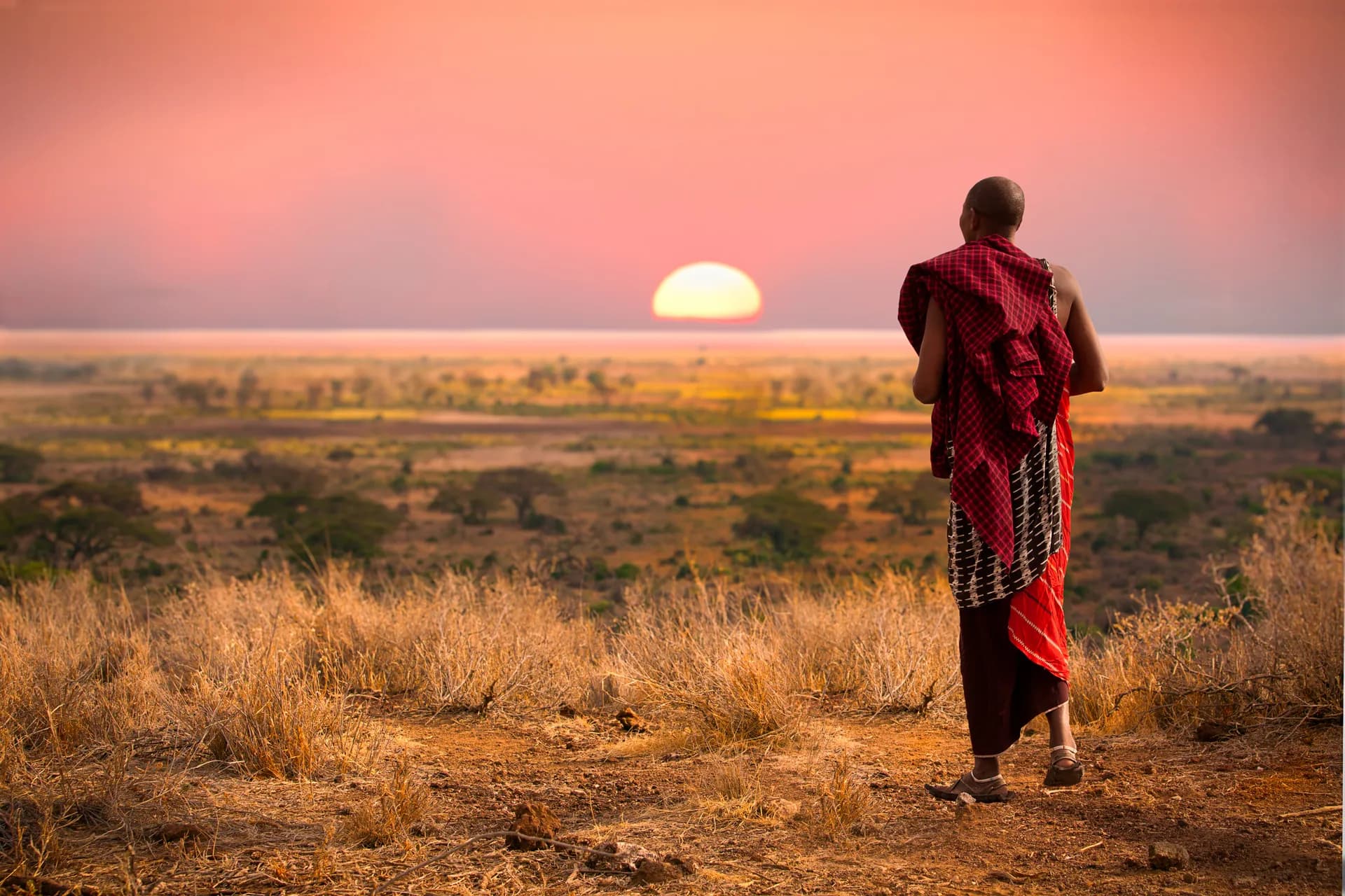Maasai man in a red shuka looking over the plains toward a low sun