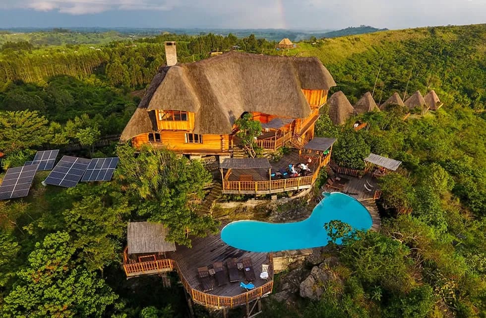 Thatched timber lodge with a swimming pool and solar panels on a forested hillside