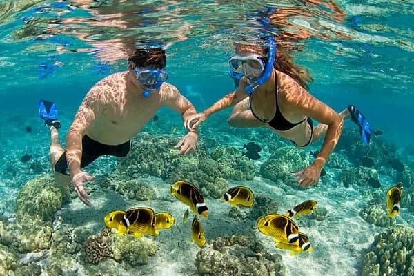 Two snorkellers above coral with yellow and black striped fish