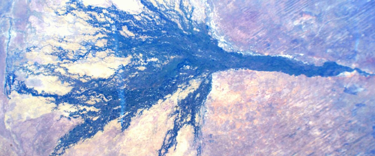 Aerial view of the Okavango Delta wetland channels
