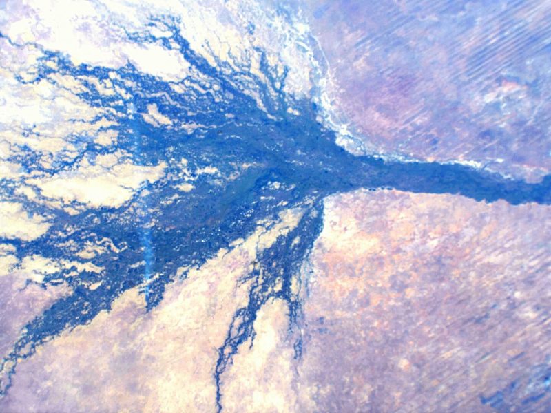 The Okavango Delta: Africa's Most Extraordinary Wetland