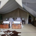 Enkoshok Plains Camp