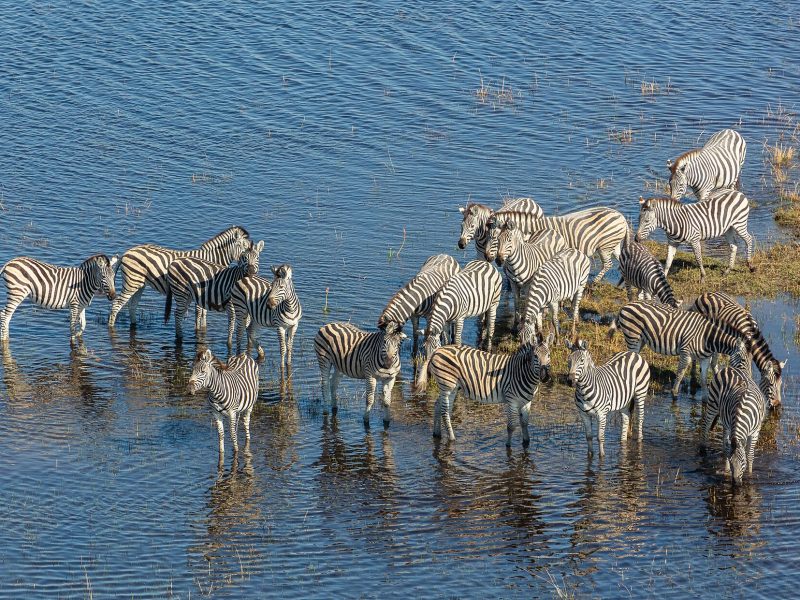 Botswana