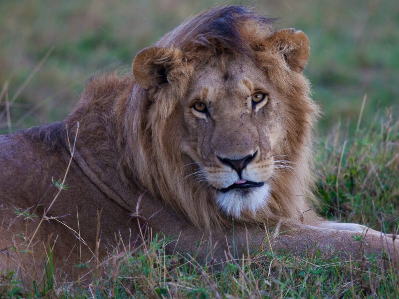 Kenya