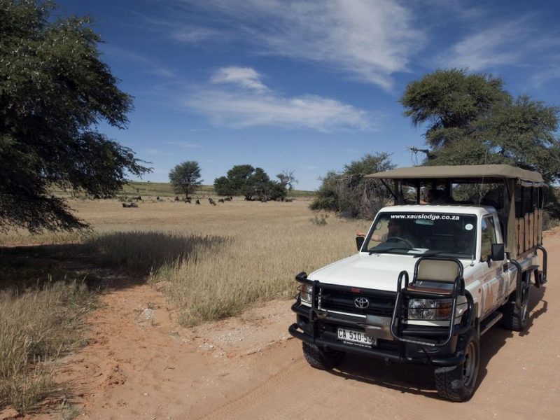 Game Drives