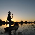 Okavango & Beyond